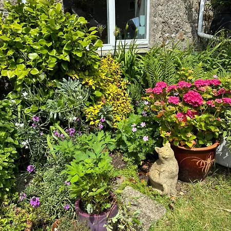 Bed & Breakfast The Old Post House 3*